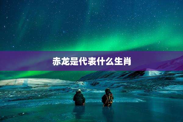 赤龙是代表什么生肖
