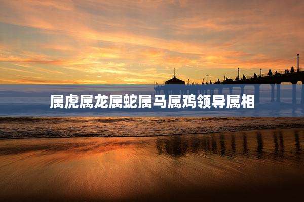 属虎属龙属蛇属马属鸡领导属相
