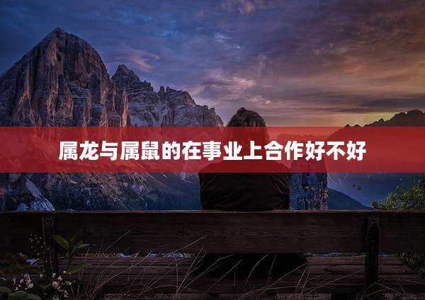 属龙与属鼠的在事业上合作好不好