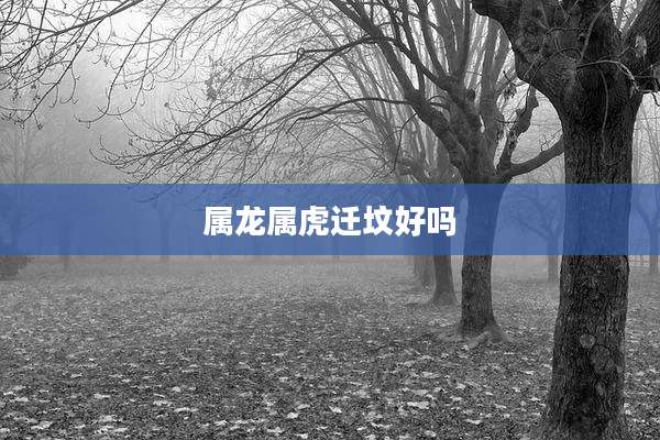 属龙属虎迁坟好吗