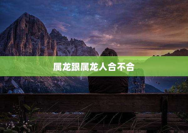 属龙跟属龙人合不合