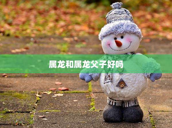 属龙和属龙父子好吗