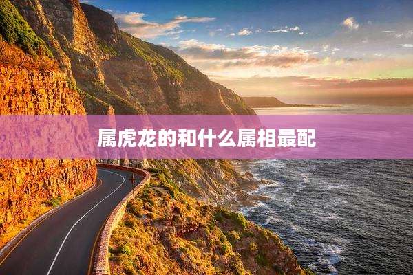 属虎龙的和什么属相最配