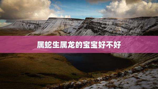 属蛇生属龙的宝宝好不好