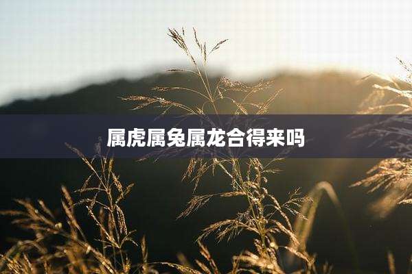 属虎属兔属龙合得来吗