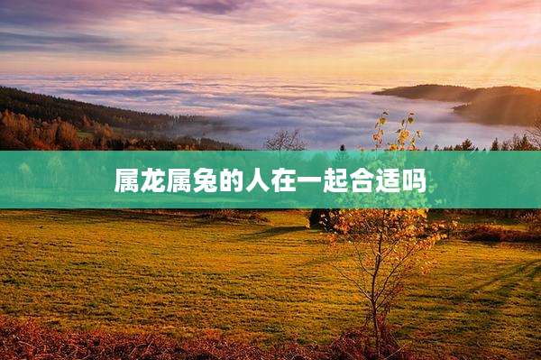 属龙属兔的人在一起合适吗