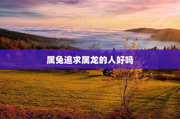 属兔追求属龙的人好吗
