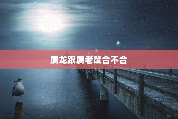 属龙跟属老鼠合不合