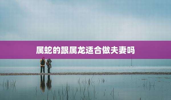 属蛇的跟属龙适合做夫妻吗