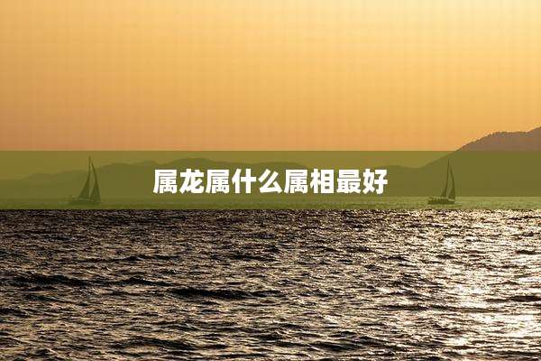 属龙属什么属相最好