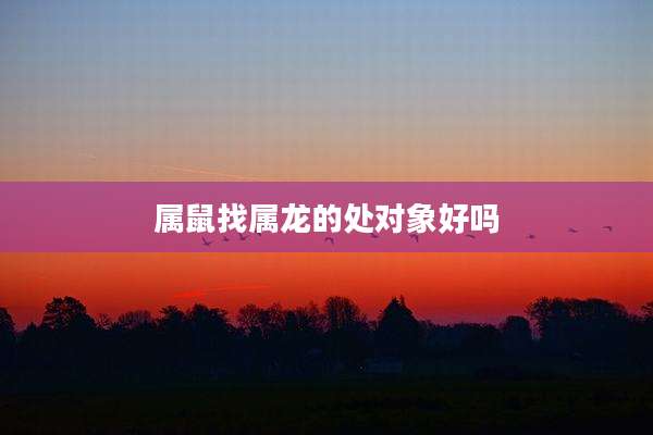 属鼠找属龙的处对象好吗