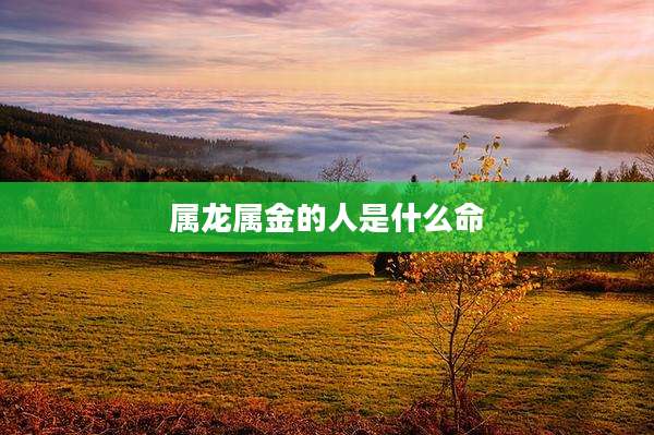 属龙属金的人是什么命