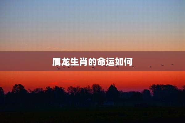 属龙生肖的命运如何