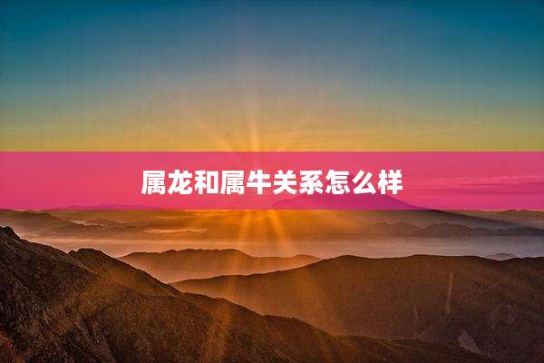 属龙和属牛关系怎么样