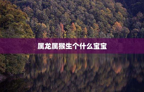 属龙属猴生个什么宝宝