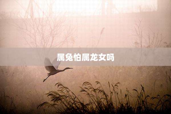 属兔怕属龙女吗