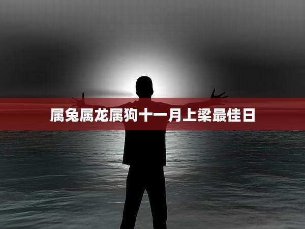 属兔属龙属狗十一月上梁最佳日