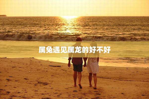 属兔遇见属龙的好不好