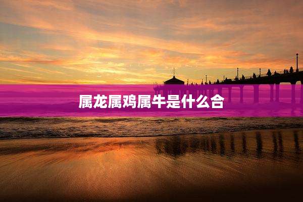 属龙属鸡属牛是什么合