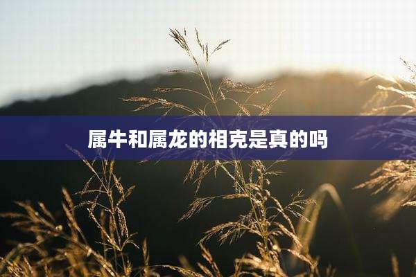 属牛和属龙的相克是真的吗