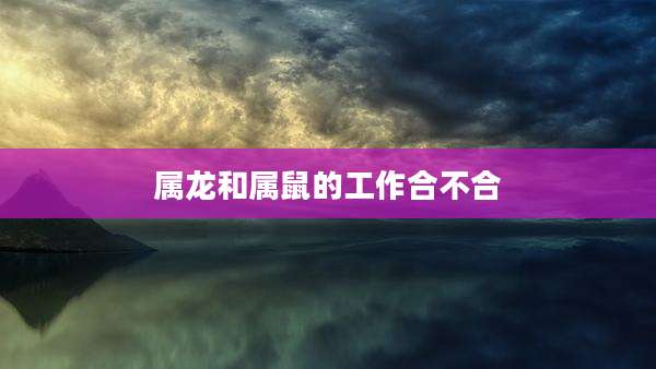 属龙和属鼠的工作合不合