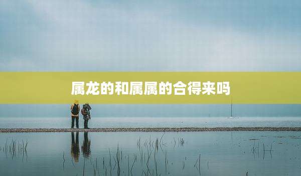 属龙的和属属的合得来吗
