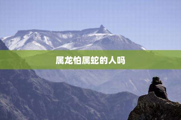 属龙怕属蛇的人吗