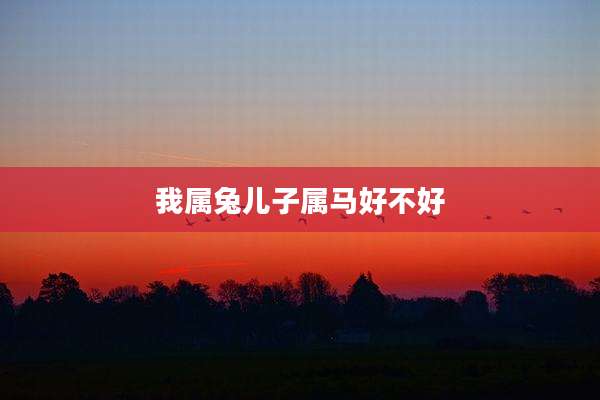 我属兔儿子属马好不好
