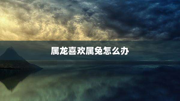 属龙喜欢属兔怎么办