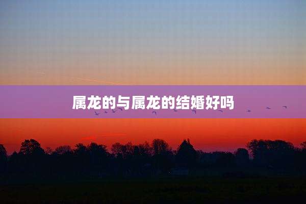 属龙的与属龙的结婚好吗