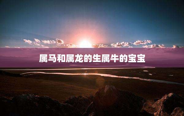 属马和属龙的生属牛的宝宝
