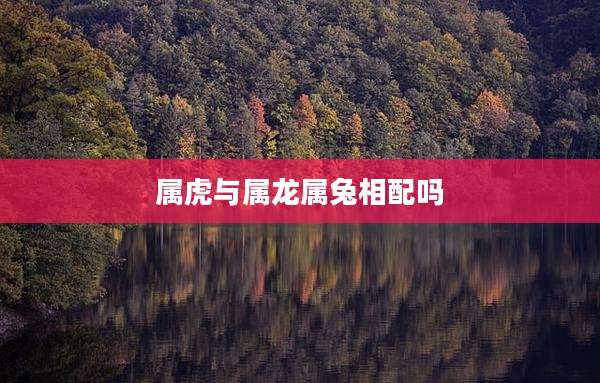 属虎与属龙属兔相配吗