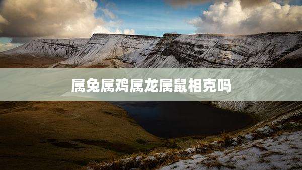 属兔属鸡属龙属鼠相克吗