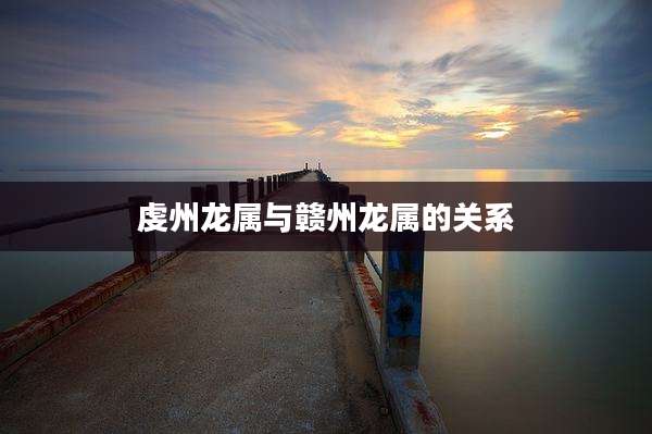 虔州龙属与赣州龙属的关系