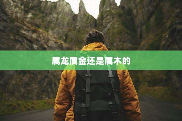 属龙属金还是属木的