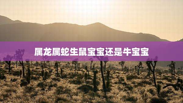 属龙属蛇生鼠宝宝还是牛宝宝