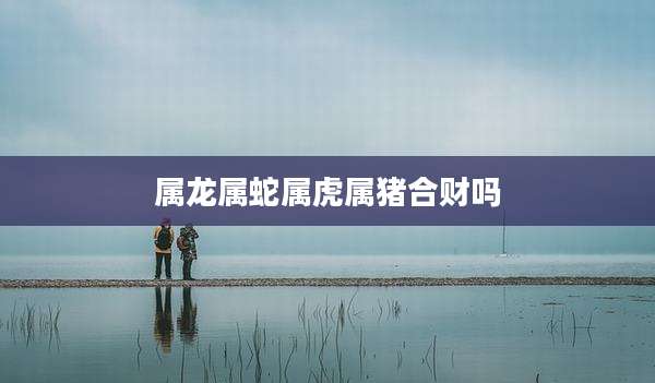 属龙属蛇属虎属猪合财吗