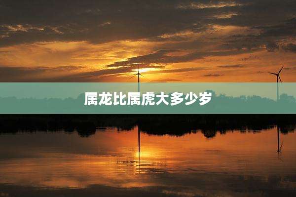 属龙比属虎大多少岁