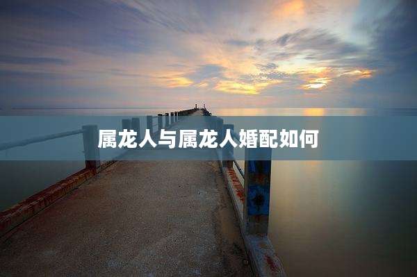 属龙人与属龙人婚配如何