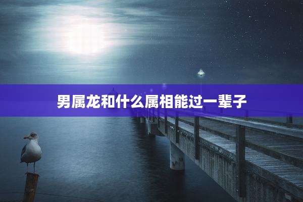 男属龙和什么属相能过一辈子