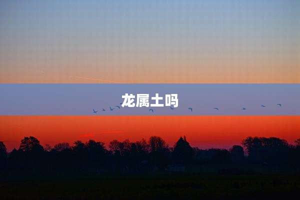 龙属土吗