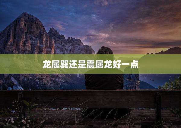 龙属巽还是震属龙好一点