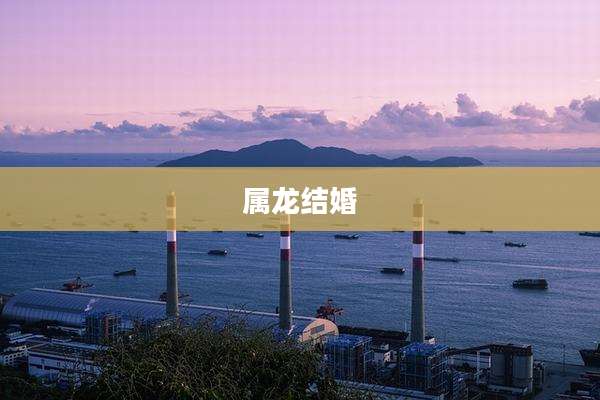 属龙结婚