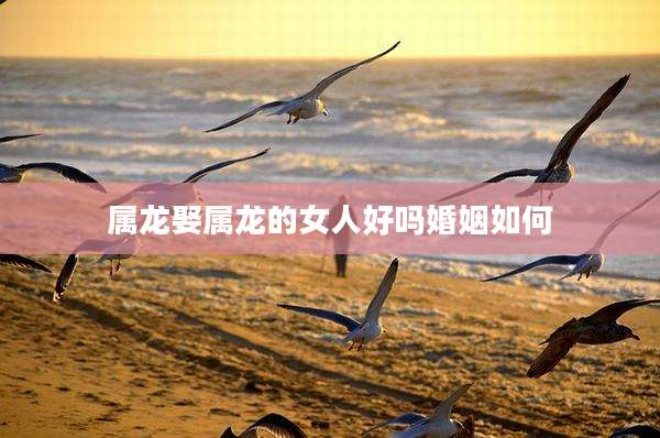 属龙娶属龙的女人好吗婚姻如何