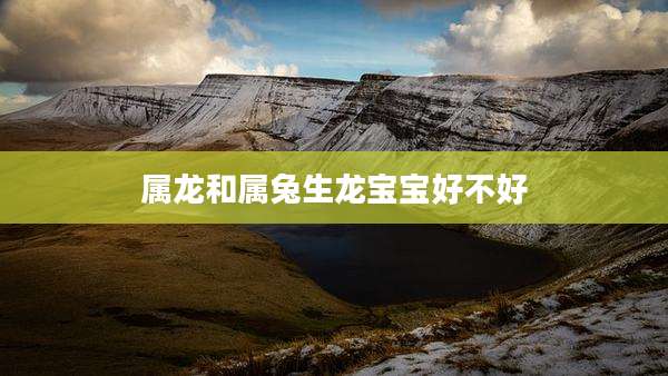 属龙和属兔生龙宝宝好不好