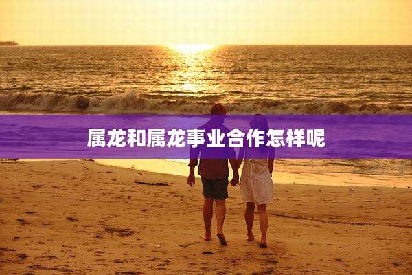 属龙和属龙事业合作怎样呢