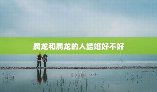 属龙和属龙的人结婚好不好