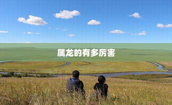 属龙的有多厉害