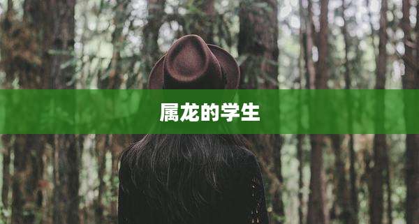 属龙的学生