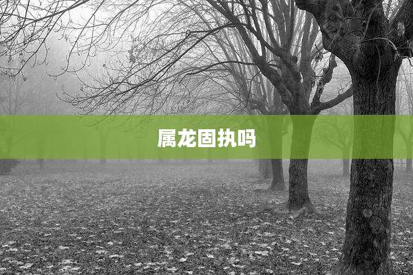 属龙固执吗